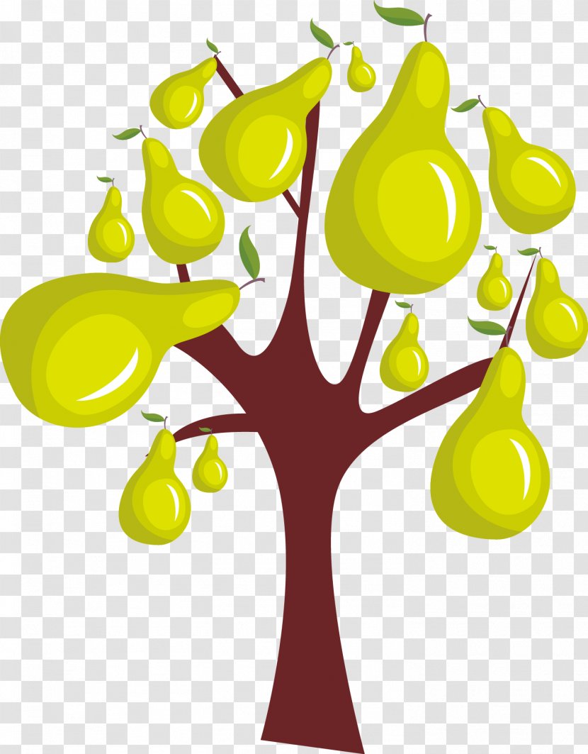 Food Pear - Beautiful Tree Growth Vector Transparent PNG