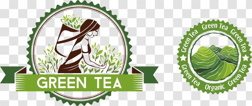 Tea Icon - Cartoon - Alpine Green Transparent PNG