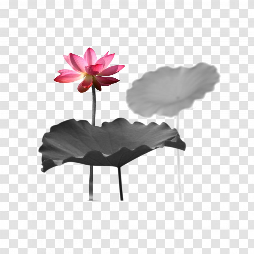 China Chinese Painting Art Ink Wash - Petal - Lotus Transparent PNG