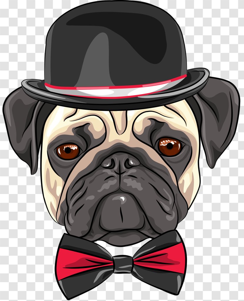 Pug Puppy Chihuahua Shar Pei Vector Graphics Transparent PNG