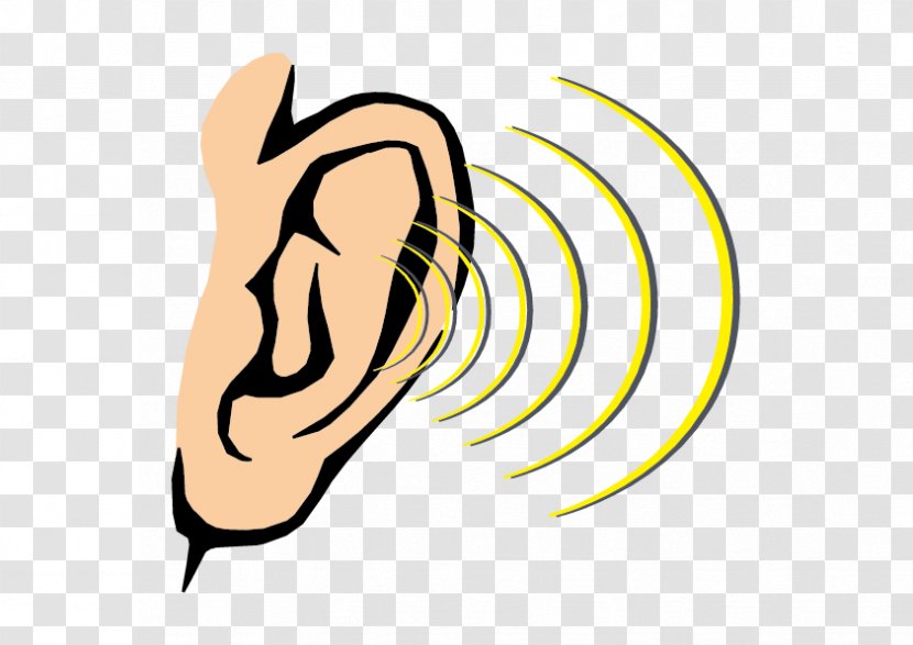 Hearing Sound Sense Human Body - Heart - Cartoon Ear Transparent PNG