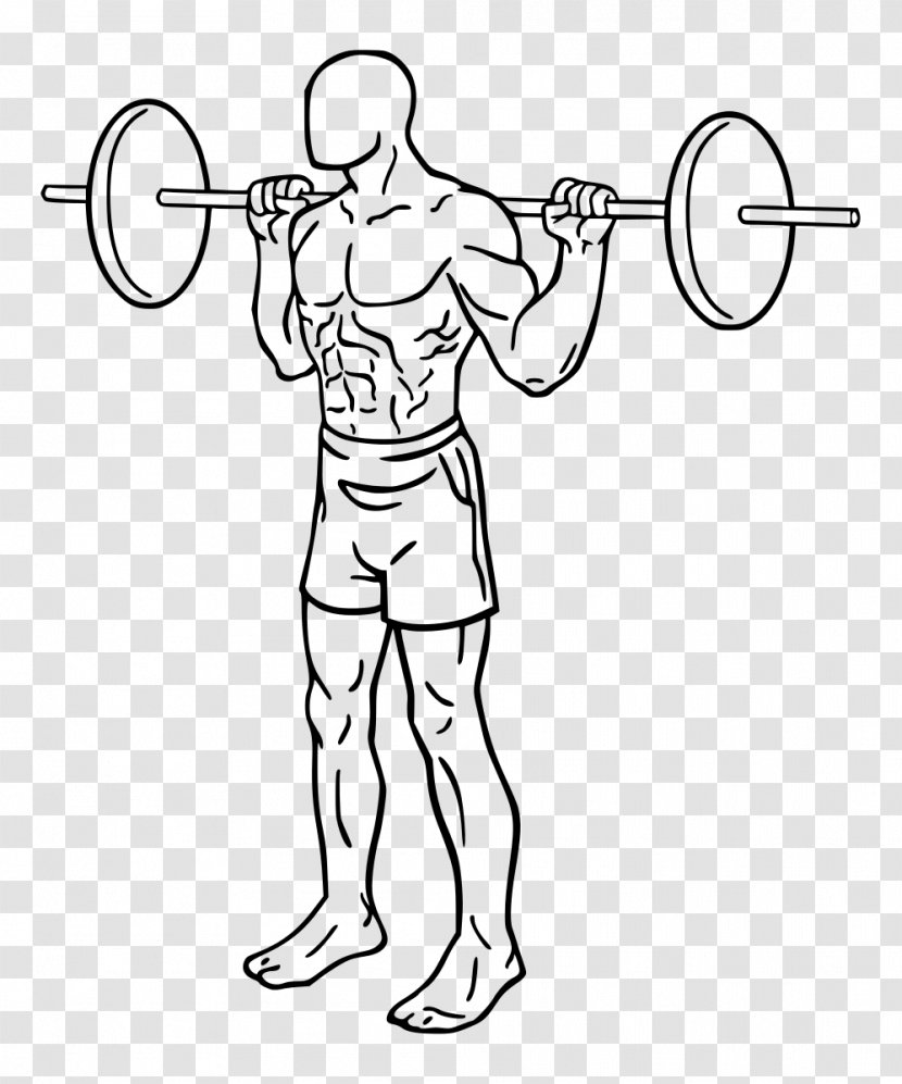Weight Training Squat Olympic Weightlifting Exercise Strength - Heart - Barbell Transparent PNG