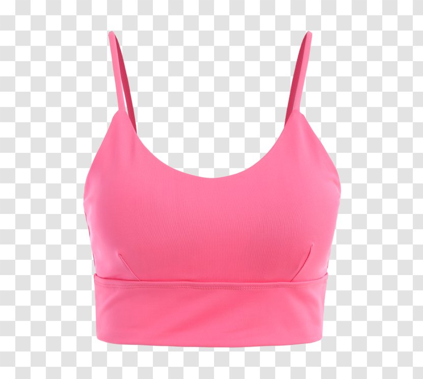 Sports Bra Tube Top Swimsuit Sportswear - Frame - Brasão Dourado Transparent PNG