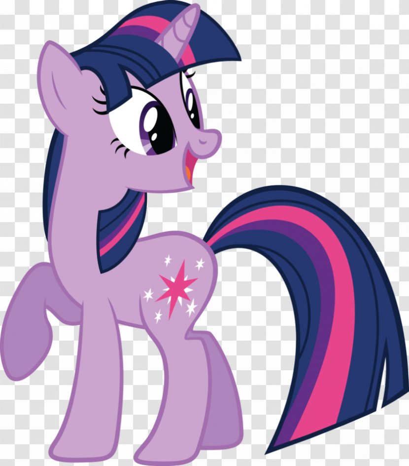 Pony Twilight Sparkle Pinkie Pie Rainbow Dash Rarity - Cat - Four Seasons Regimen Transparent PNG