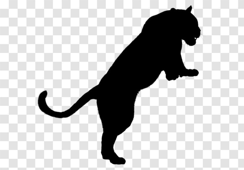 Whiskers Wildcat Mammal Dog - Silhouette - Carnivore Transparent PNG