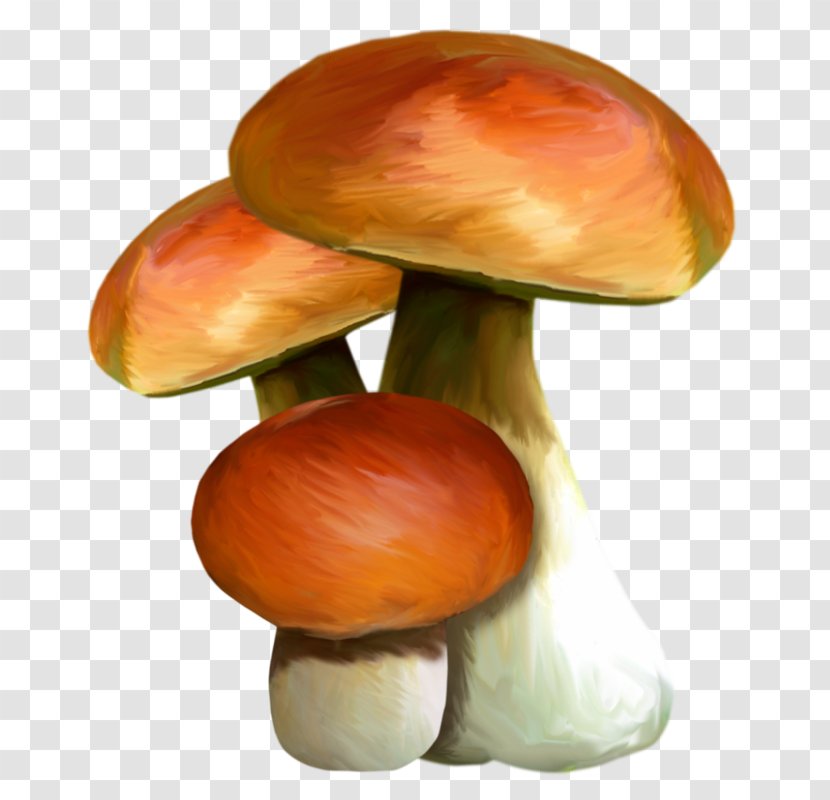 Edible Mushroom Watercolor Painting Transparent PNG