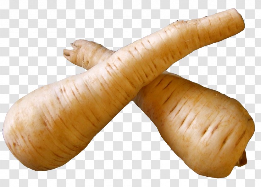 Parsnip Vegetable Turnip Knackwurst - Fresh Root Transparent PNG