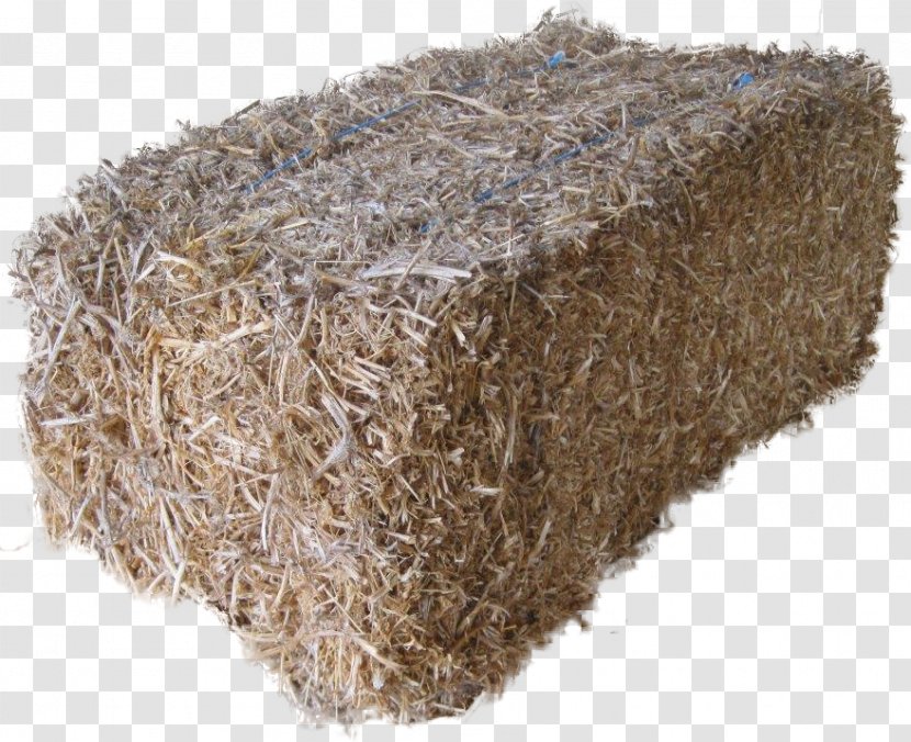 Angus Cattle Haystack Breed Straw - Series - Baleofhay Transparent PNG
