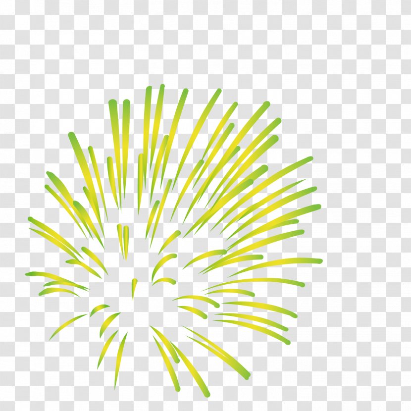 Fireworks Computer File - Grass - Green Transparent PNG
