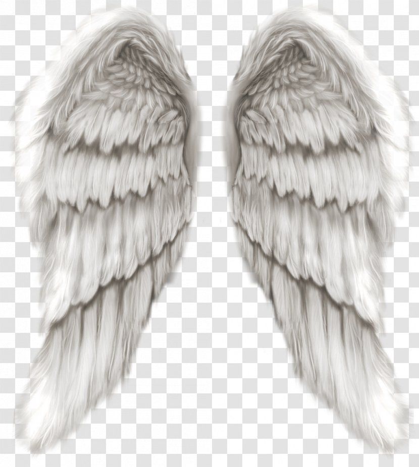 Angel Child Son Heaven Daughter - God Transparent PNG