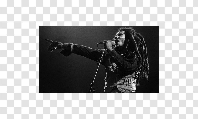 Bob Marley Museum And The Wailers Song MetroLyrics Reggae - Tree Transparent PNG