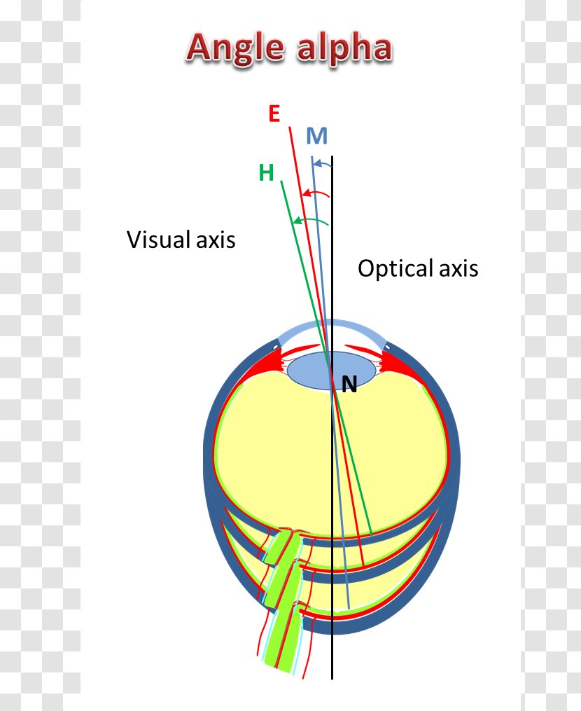Near-sightedness Eye Far-sightedness Strabismus Angle - Threedimensional Space Transparent PNG
