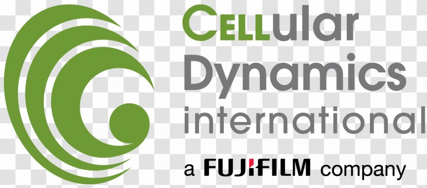 Cellular Dynamics International, Inc. Induced Pluripotent Stem Cell Technology Therapy - Regenerative Medicine Transparent PNG