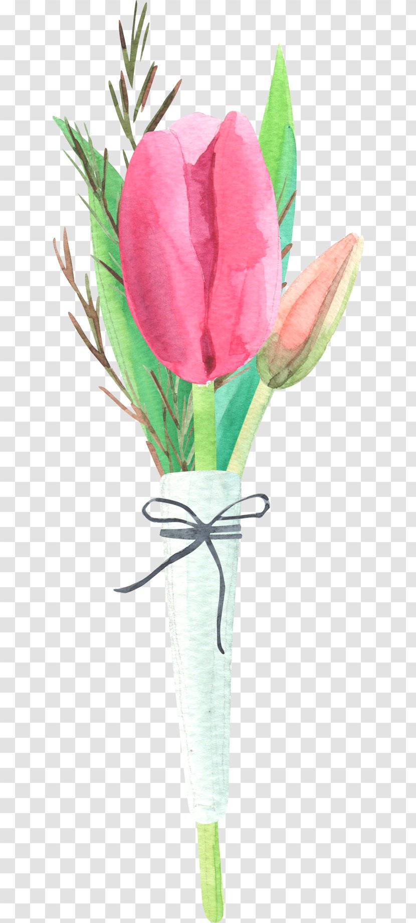 Tulip Flower Floral Design - Bow And Tulips Transparent PNG