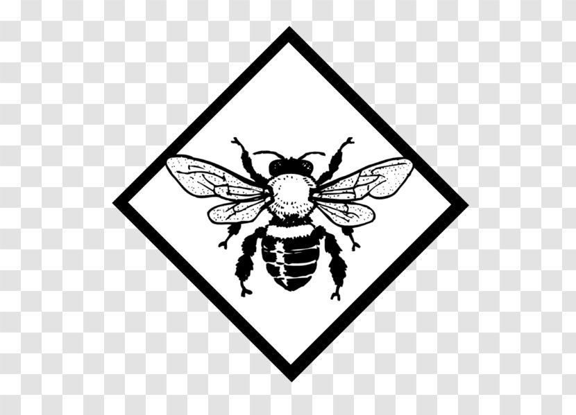 European Dark Bee Honey Drawing Clip Art Transparent PNG