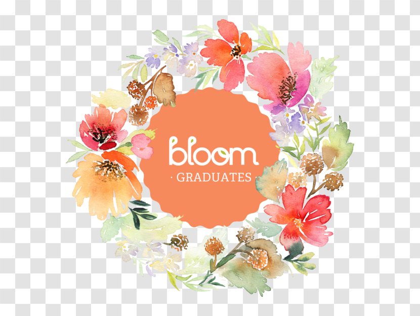 Floral Design Cut Flowers Floristry Bloom College - Flower Transparent PNG