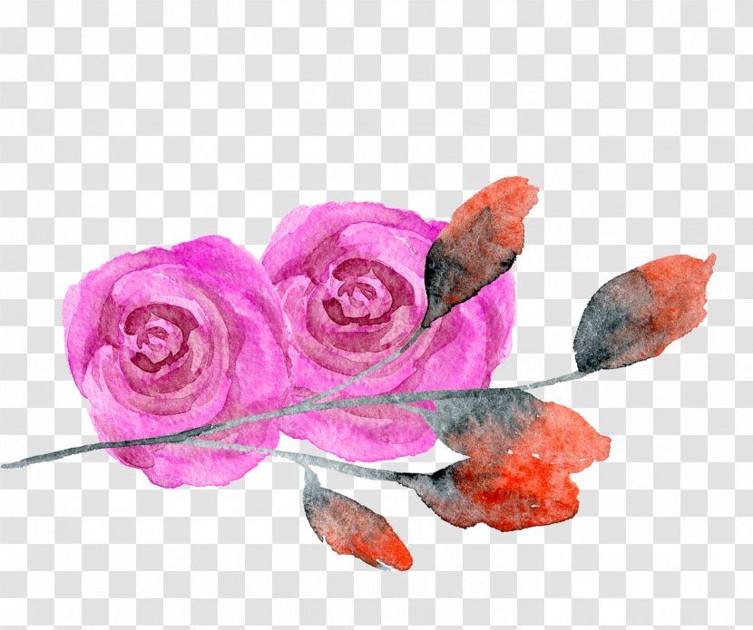 Garden Roses Creative Watercolor Transparent Painting - Rose Red Flower Transparent PNG