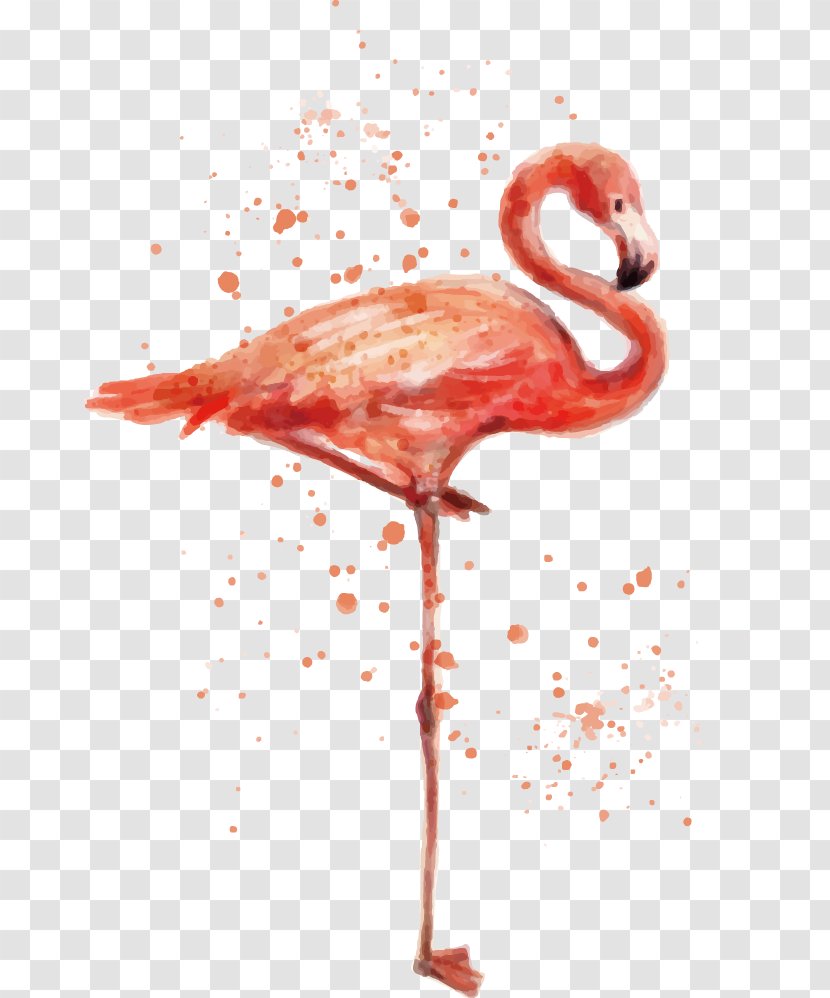 Flamingo Bird T-shirt Painting Animal - Flamingos - Hand-painted Vector Illustration Transparent PNG