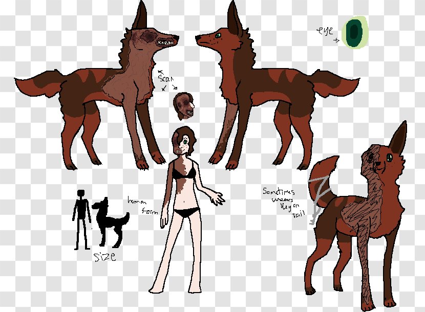 Mule Foal Mustang Mammal Donkey - Cartoon - Ice And Fire Transparent PNG