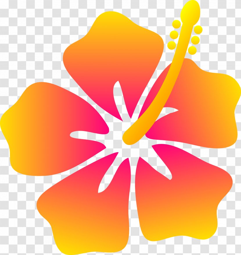 Hawaiian Flower Drawing Clip Art - Malvales - Cliparts Transparent PNG