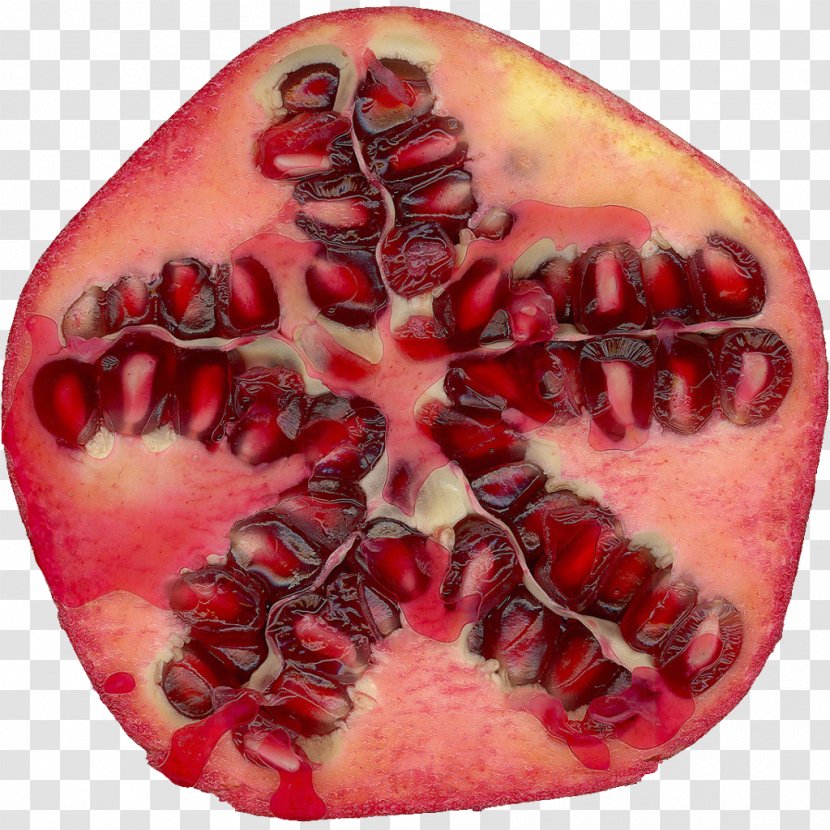 Food Trends Nutrition Health Restaurant - Frame - Pomegranate Transparent PNG