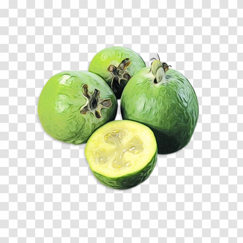 Vegetable Cartoon - Persian Lime - Guava Transparent PNG