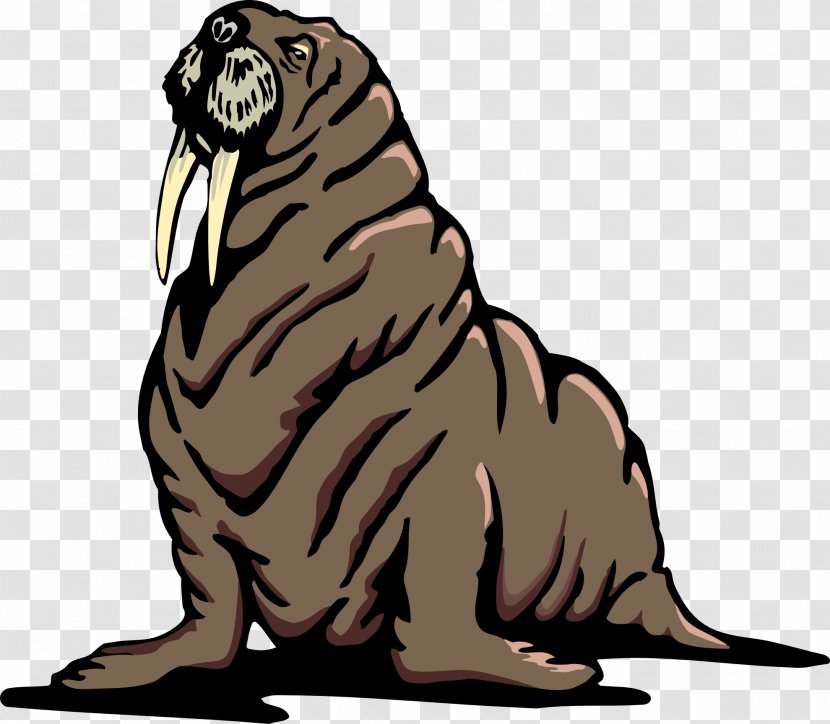 Walrus Free Content Clip Art - Dog Like Mammal - Cliparts Transparent PNG