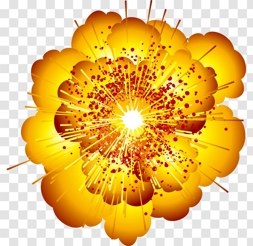 Explosion Fireworks Speech Balloon - Petal - Cloud Standard Transparent PNG
