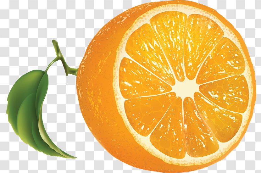 Orange Juice Clip Art - Vegetarian Food Transparent PNG