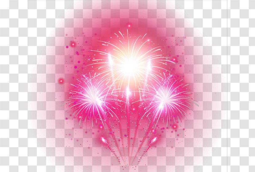 Petal Sky Computer Pattern - Pink - Fireworks Transparent PNG