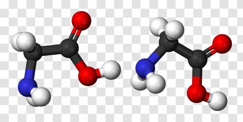 Glycine Molecule Condensation Reaction Amino Acid Fibroin - Peptide Bond - Sericin Transparent PNG