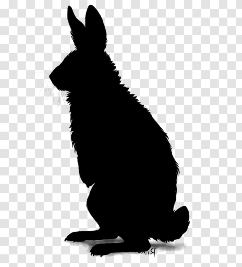 Domestic Rabbit Ramen Blog Ear - Mammal Transparent PNG