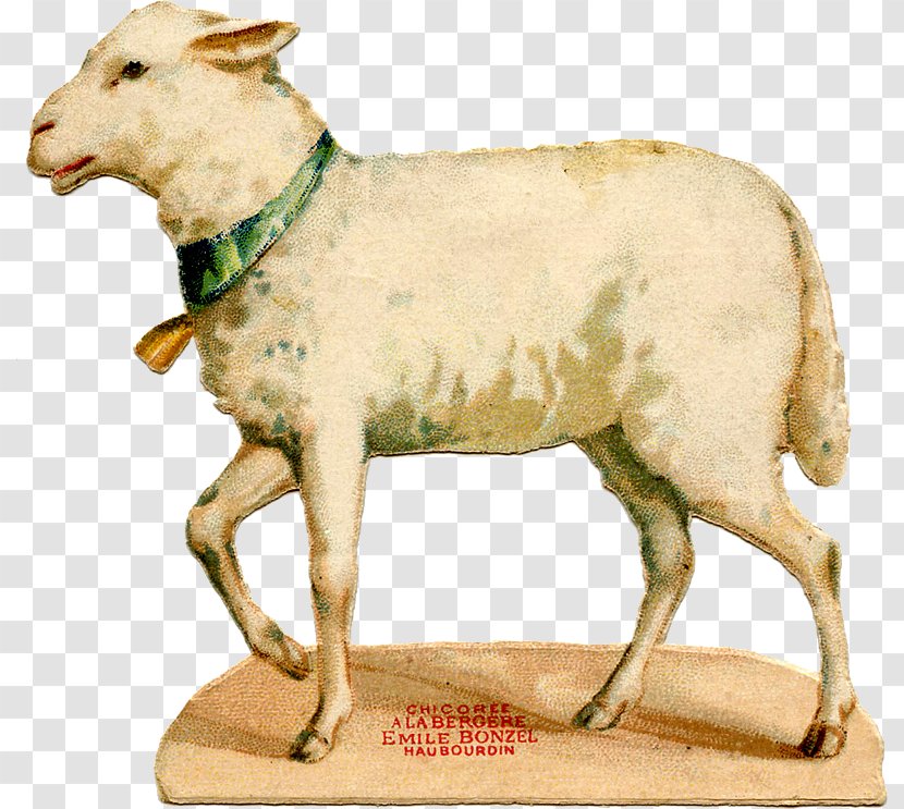 Sheep Easter Bunny Goat Lamb And Mutton Transparent PNG