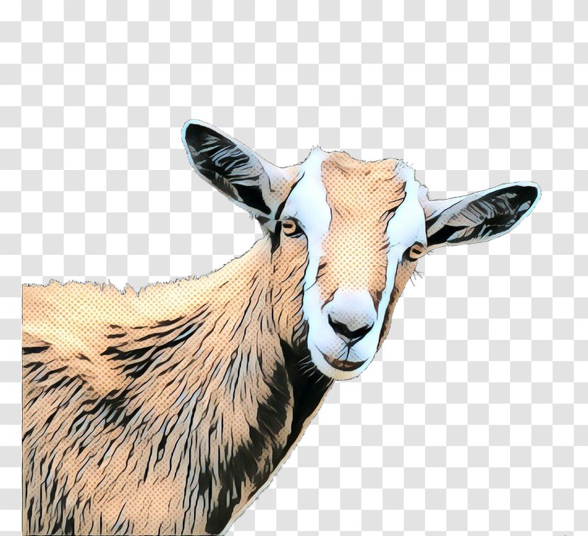 Goat Cattle Fauna Snout - Cowgoat Family - Wildlife Transparent PNG