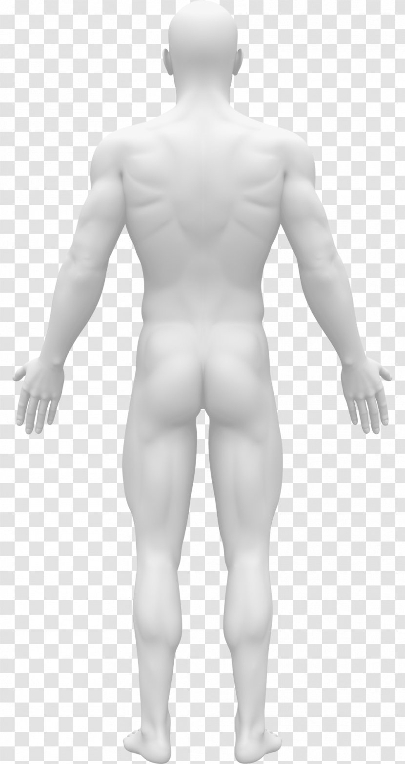 Human Body Stock Photography Anatomy Back - Flower Transparent PNG