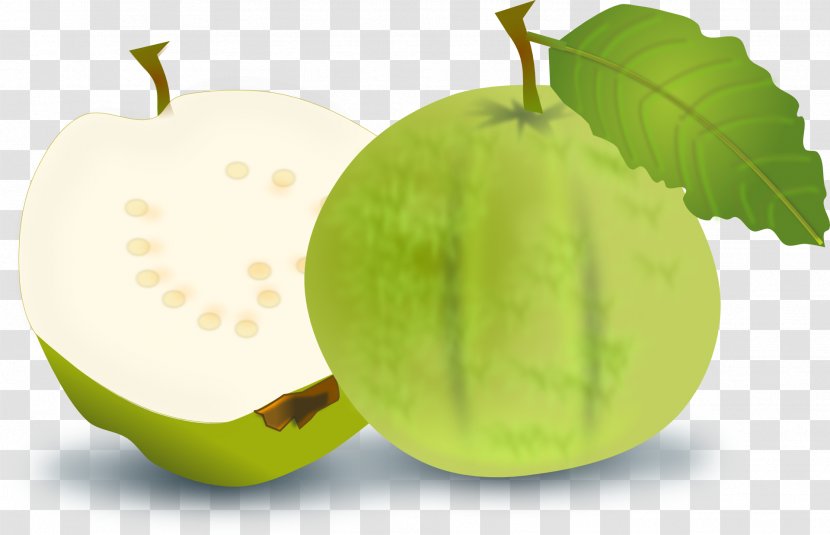Guava Fruit Orange Clip Art - Apple - Green Slice Transparent PNG