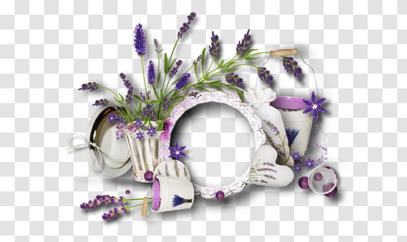Picture Frames Drawing Photography Flower - Purple - 花朵 Transparent PNG