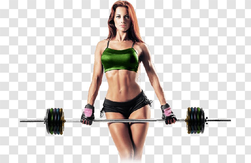 Weight Training Olympic Weightlifting Exercise Loss Physical Fitness - Frame - Woman Transparent PNG