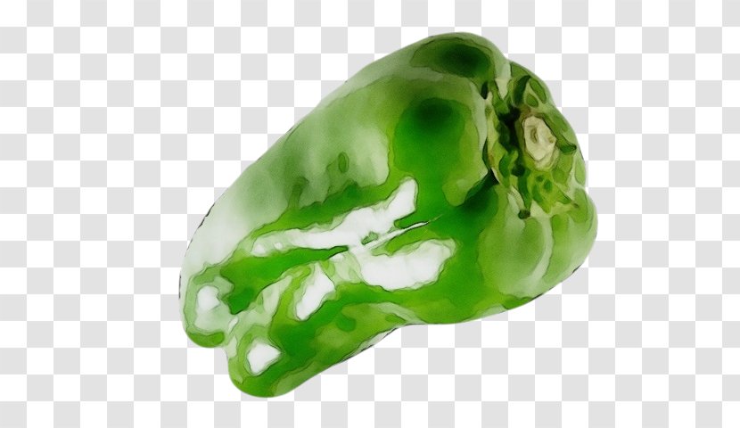 Bell Pepper Green Vegetable Pimiento - Fashion Accessory Capsicum Transparent PNG