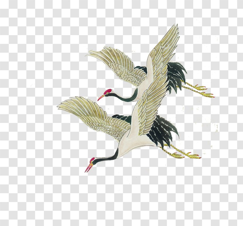 Bird Red-crowned Crane Painting Illustration Transparent PNG