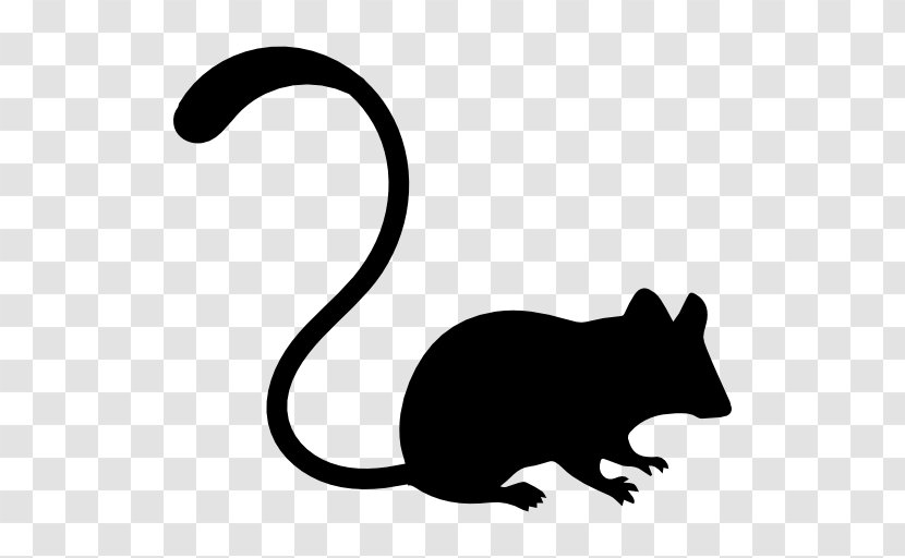 Computer Mouse Pointer - Fauna Transparent PNG