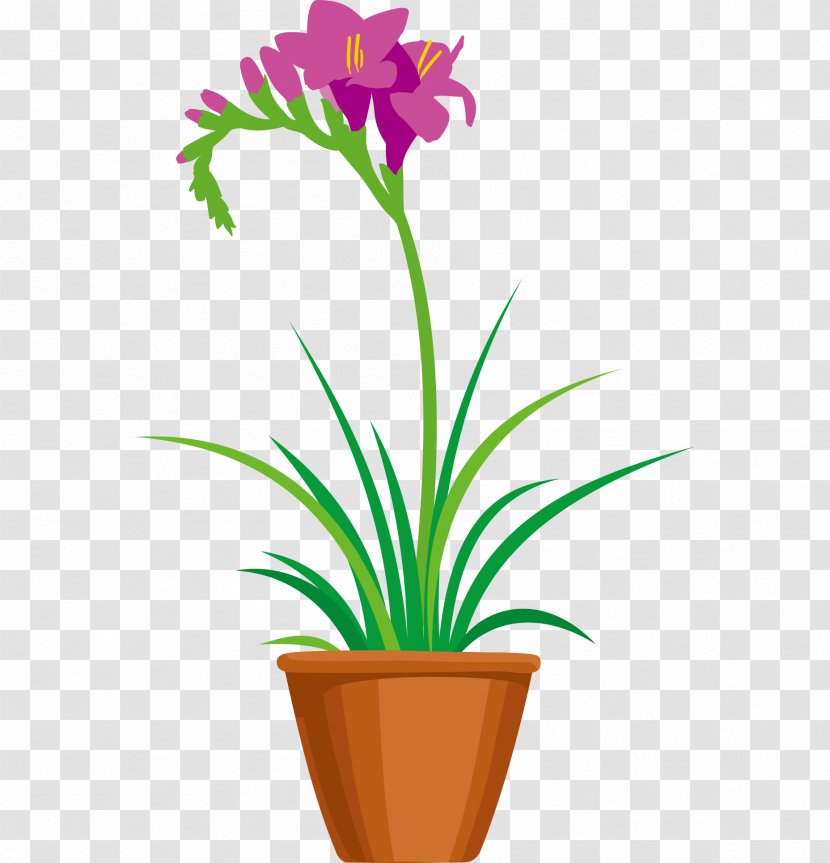 Flowerpot Vector Graphics Garden Plants Image - Floral Design Transparent PNG