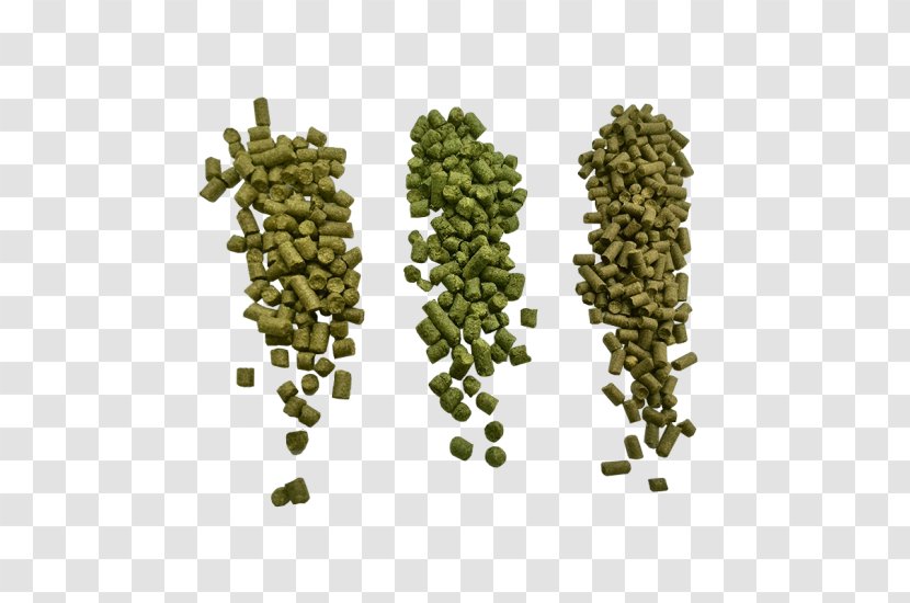 United States Tree Home-Brewing & Winemaking Supplies Hops Pelletizing Transparent PNG