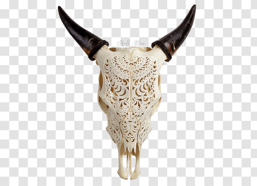 Texas Longhorn English Skull Bull Ox - Water Buffalo Transparent PNG