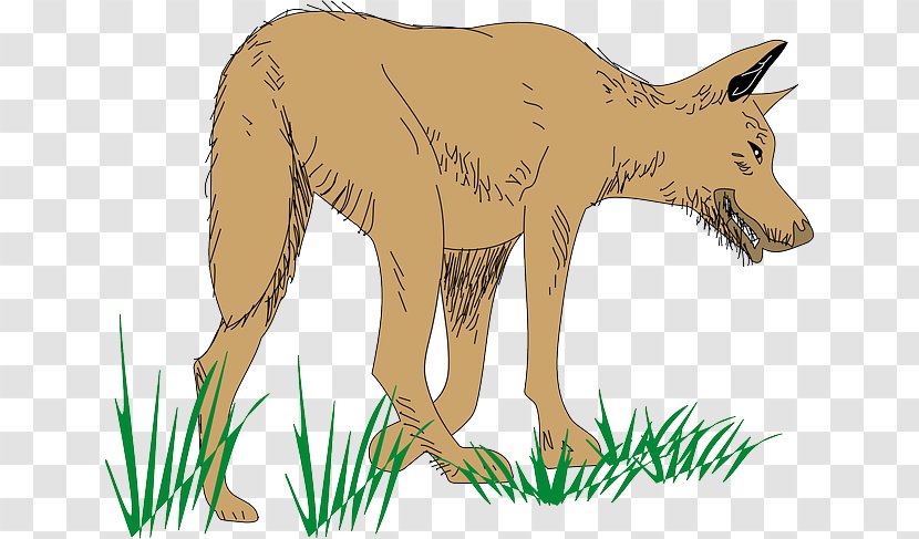 Dog Download Clip Art - Kangaroo Transparent PNG