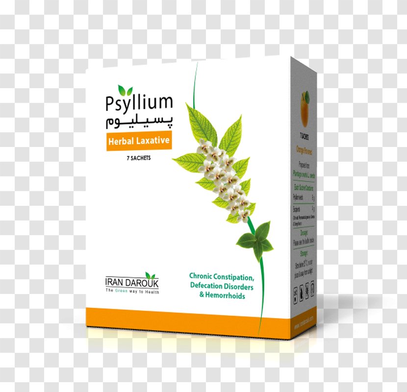Sand Plantain Psyllium Constipation Laxative - Plant Transparent PNG