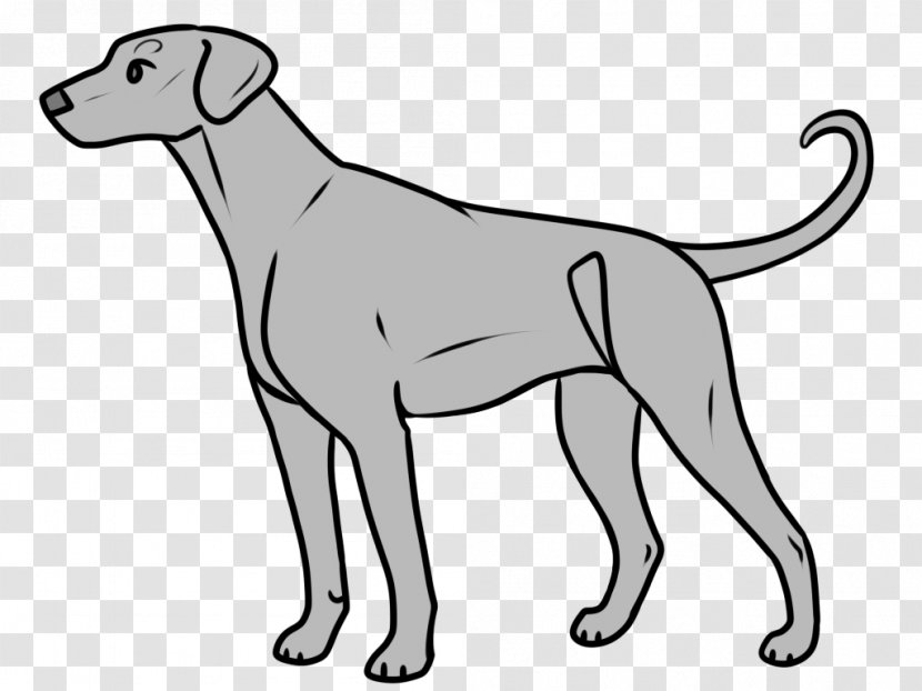Dog White Line Art Sporting Group Snout Transparent PNG
