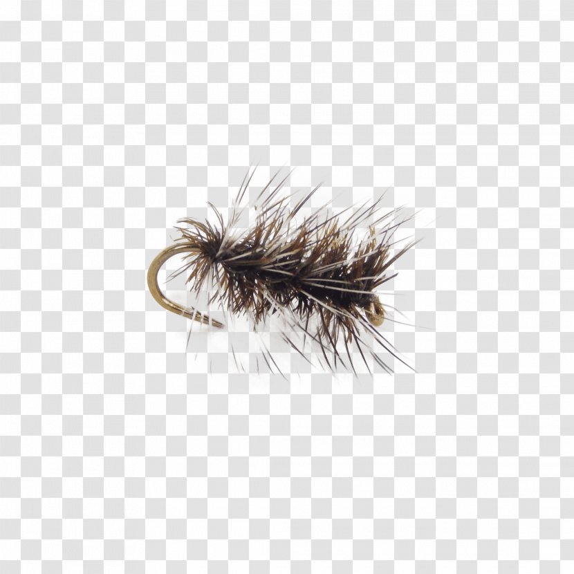 Fly Fishing Artificial Hackles Pupa - Booby Transparent PNG