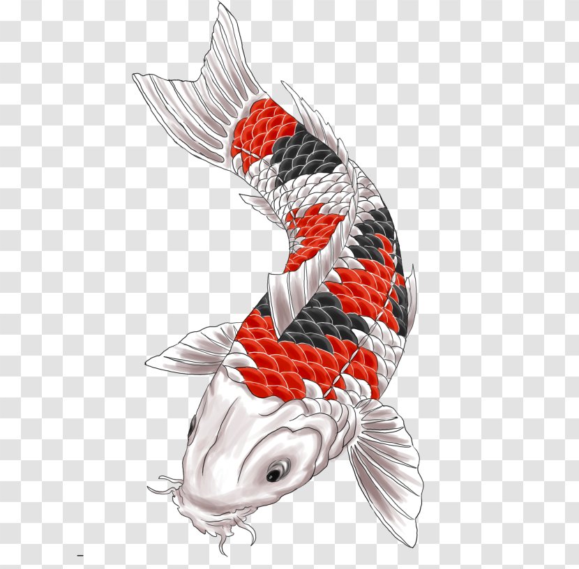 Koi Fishing Bait Catla Carp - Tattoo Transparent PNG