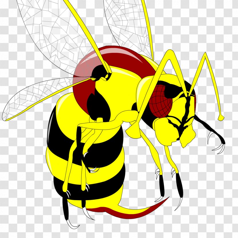 Honey Bee Wasp Clip Art Illustration Transparent PNG